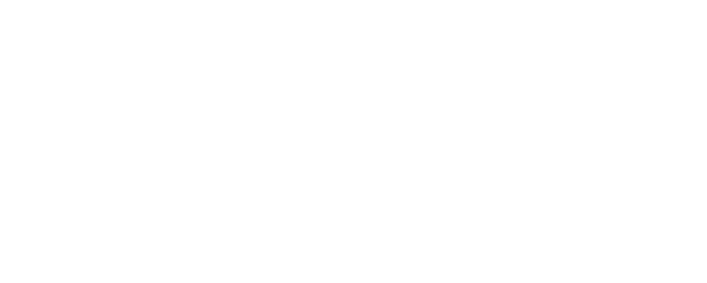 Startupkur